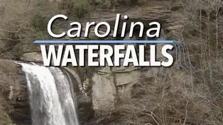 Carolina Waterfalls