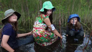 Kids Release Striped Newts and Host a Video About It