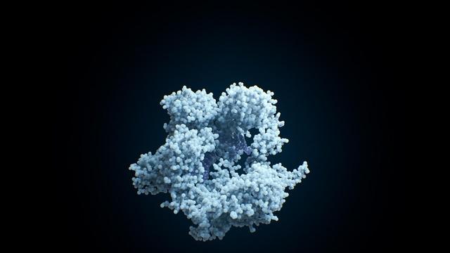 NOVA | Human Nature Sneak Peek