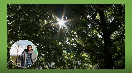 Video thumbnail: Central Texas Gardener Tree Canopy Equality: Curbing Heat Island Effect
