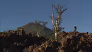 Baja Journeys: Volcanoes/Oceans