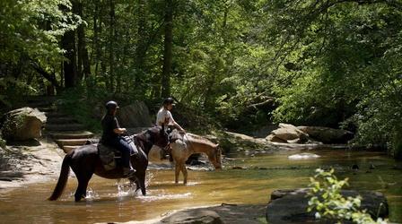 Video thumbnail: Ten to Try Horseback Riding at Raven Rock State Park