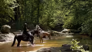 Horseback Riding at Raven Rock State Park