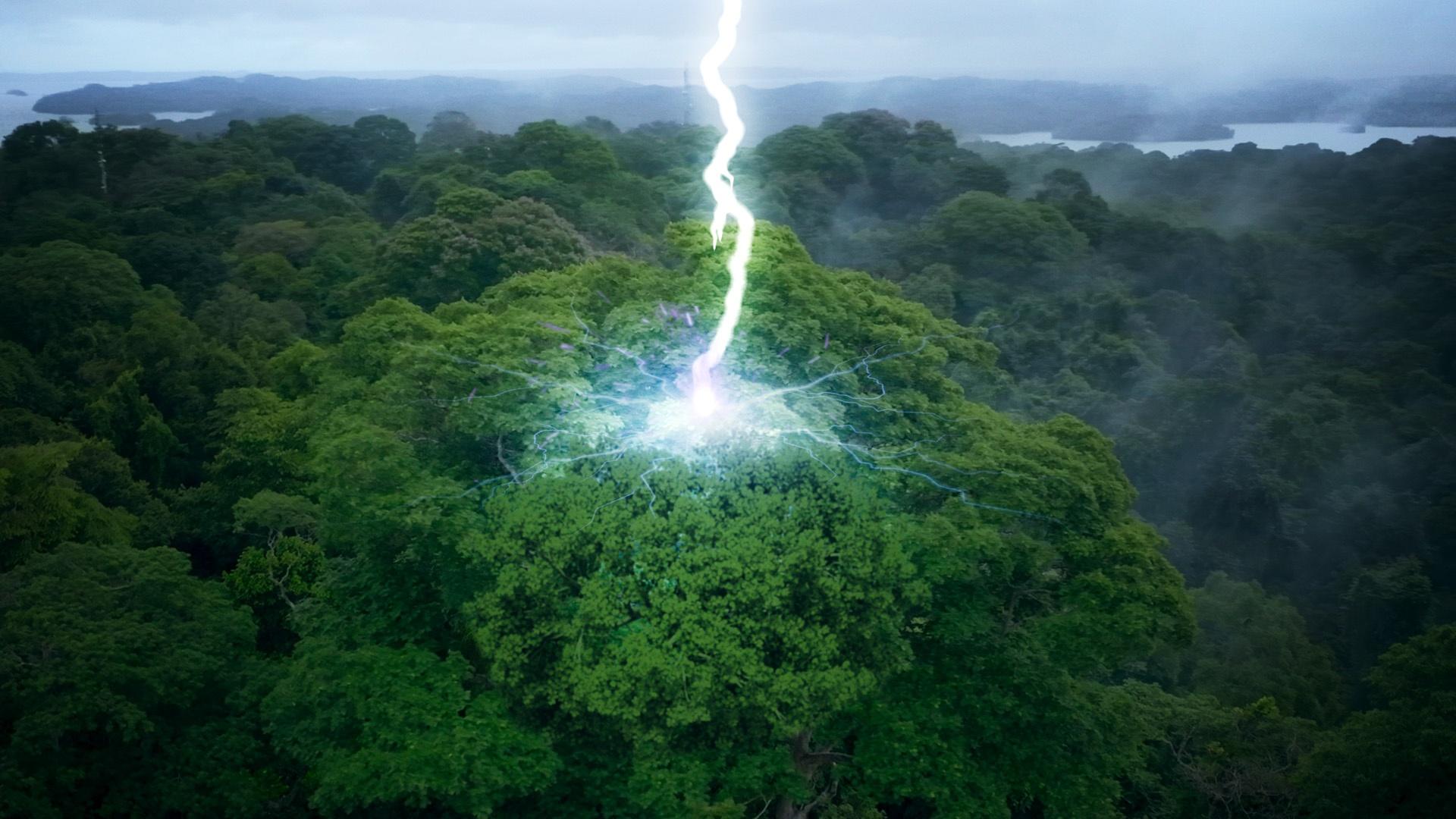 On Panama’s Barro Colorado Island, a lightening bolt strikes down.