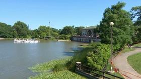 Video thumbnail: Chicago Tonight Why Alligators Don’t Make Good Pets (and 9 Other Fun Facts)