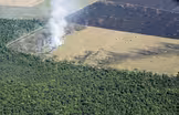 Will the Amazon’s chances improve with Brazil’s new leader?