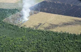 Will the Amazon’s chances improve with Brazil’s new leader?