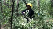 Conservation Corps in Action at Sand Ridge Nature Center