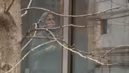 Former NJ AG testifies in Nadine Menendez trial