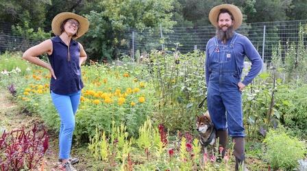 Video thumbnail: Modern Gardener Mountain Man Flowers