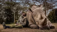 The Northern White Rhino Rescue Mission