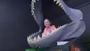 Aurora Fossil Museum