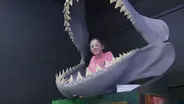 Aurora Fossil Museum
