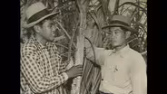 Filipinos in Hawaiʻi