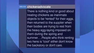 Viewer Feedback: ‘Treating Chickens as Inanimate Objects’ No