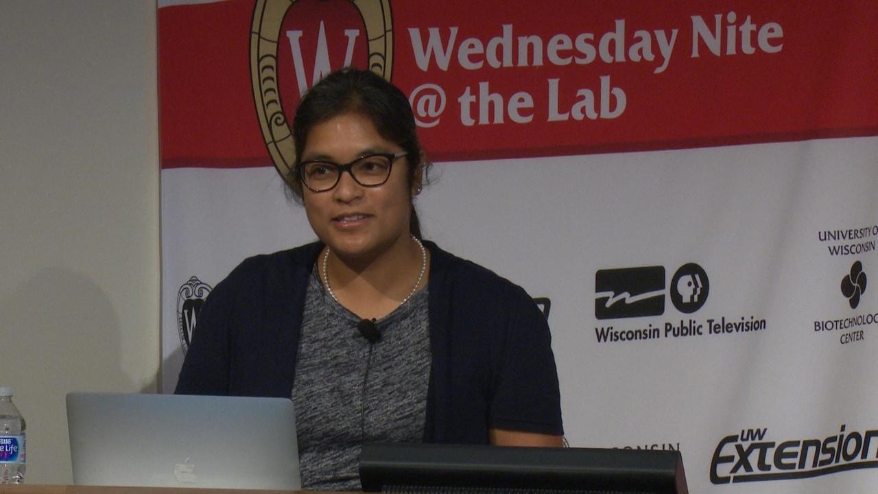 University Place Insights in Pediatric Food Allergies airing Thu, Jun 11 6:49 am