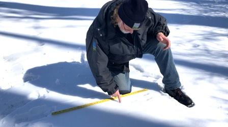Video thumbnail: CET/ThinkTV Education Animal Tracks and Signs