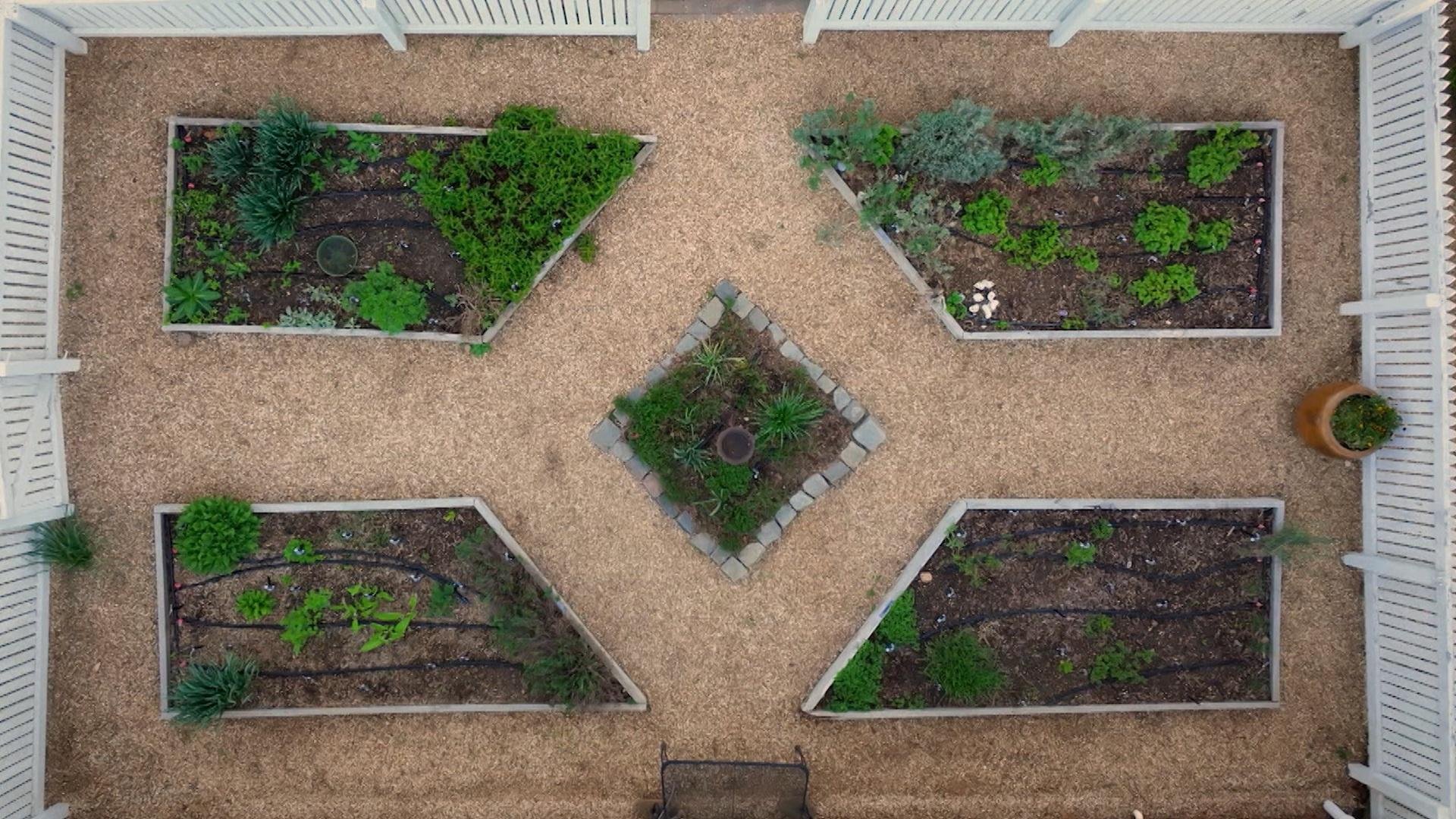 Clippings: Comfort Plants
