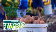 Immigration Enforcement Concerns Farmers, & An Innovative Approach to Childcare: March 12, 2025