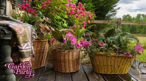 Garden Party : Front Porch Planting