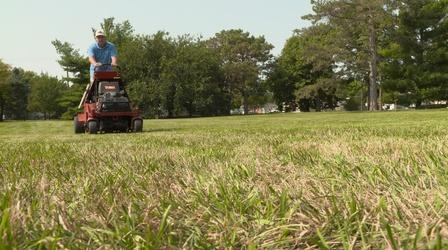 Video thumbnail: Backyard Farmer Backyard Farmer: Fall Aeration & Safe Chemical Storage