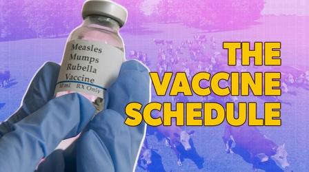 Video thumbnail: Parentalogic Vaccinations: Why do Kids Get So Many at One Doctor's Visit?