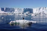 Sea levels could rise three feet by 2100, study projects