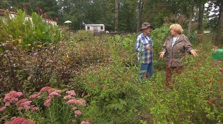 Video thumbnail: Volunteer Gardener Volunteer Gardener 2643