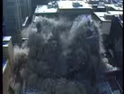 Building Implosion