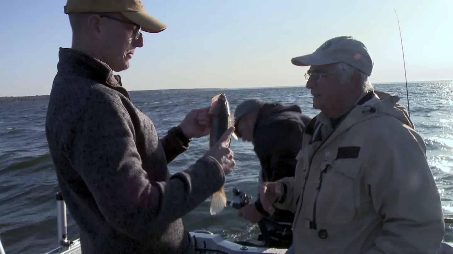 Walleye World