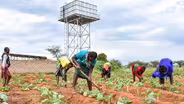 U.S. projects bringing water to drought-ridden land may end