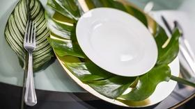 Video thumbnail: J Schwanke's Life In Bloom All Foliage: Living Green