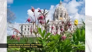 Gun Legislation, HCMC Bipartisan Bill, Fraud Committee Chair