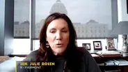 Senator Julie Rosen