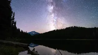 Astrophotography, Ancient Oregon Road Trip, Coastal Foraging