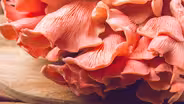 My Take: Mushrooms, Mushrooms Everywhere