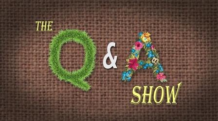 Video thumbnail: The Family Plot Q&A Show