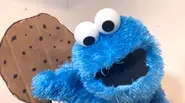 What would Cookie Monster do in Quarantine?