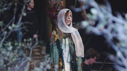 Video thumbnail: Artbound Vireo: The Spiritual Biography of a Witch's Accuser