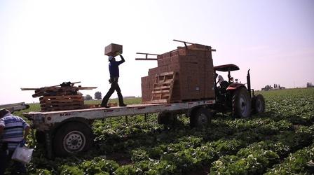 Video thumbnail: Colorado Voices Spanish Caption CO Voices Farmworkers