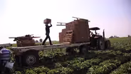 Spanish Caption CO Voices Farmworkers