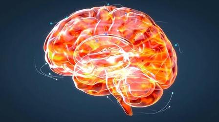 Video thumbnail: Arizona PBS Previews The Brain Revolution