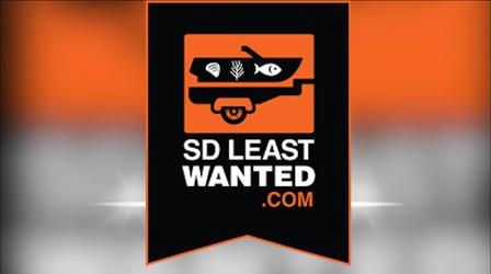 Video thumbnail: South Dakota Focus Invasive Species