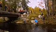 Salmon Restoration on the Penobscot River