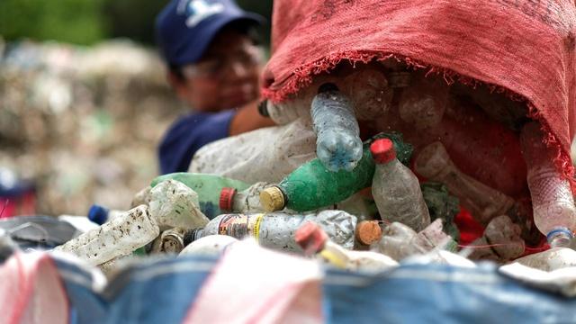 Study highlights 'grave' health dangers of plastic pollution