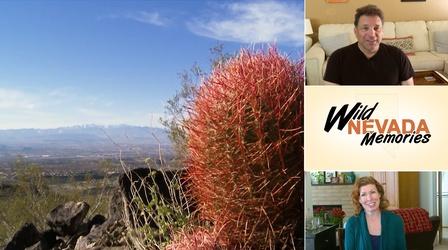 Video thumbnail: Wild Nevada Wild Nevada Memories | Episode 10