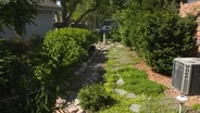 Backyard Farmer:  Rain Gardens & Controlling Unwanted Plants