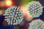 Measles outbreak raises concerns about drop in vaccinations