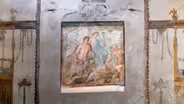 The Black Frescoes