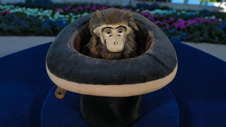 Antiques Roadshow Image